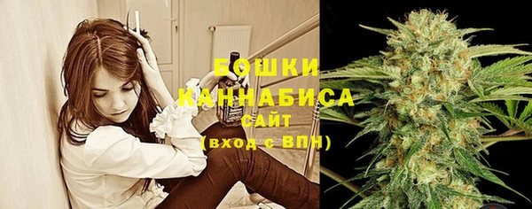 МДПВ Аркадак