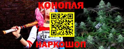 соль ск Гатчина