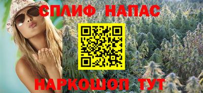 не бодяженный Гай