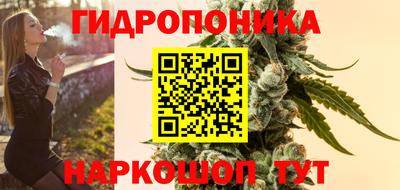 не бодяженный Гай