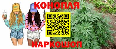 соль ск Гатчина