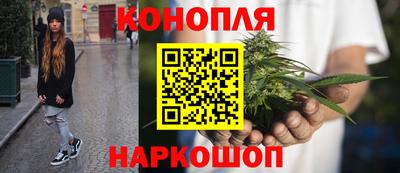 apvp Гагарин